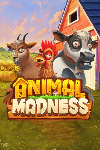 Animal Madness онлайн демо | Казино 888 играть без регистрации