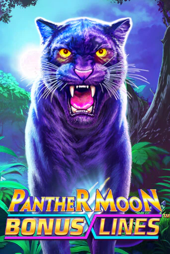 Panther Moon: Bonus Lines™ онлайн демо | Казино 888 играть без регистрации