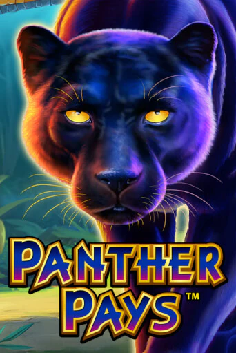 Panther Pays онлайн демо | Казино 888 играть без регистрации