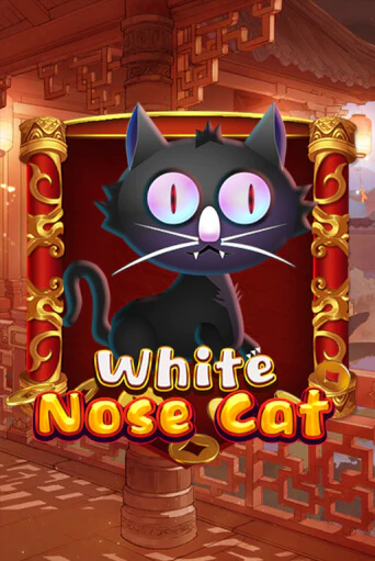 White Nose Cat онлайн демо | Казино 888 играть без регистрации