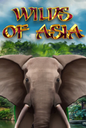 Wilds of Asia онлайн демо | Казино 888 играть без регистрации