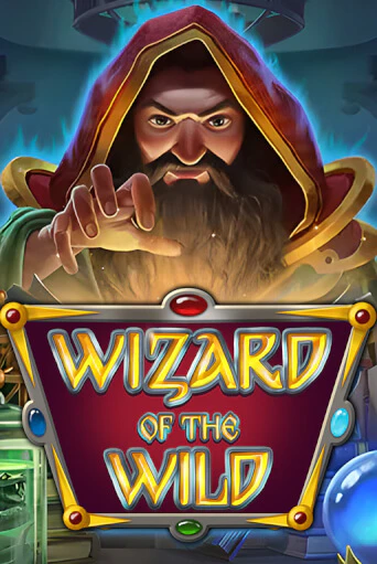 Wizard of the Wild онлайн демо | Казино 888 играть без регистрации