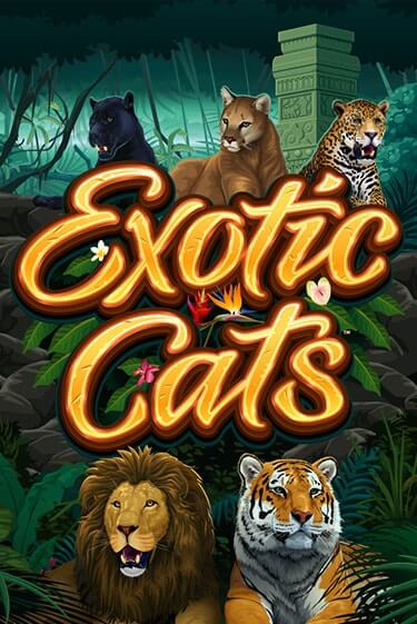 Exotic Cats онлайн демо | Казино 888 играть без регистрации