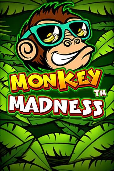 Monkey Madness онлайн демо | Казино 888 играть без регистрации