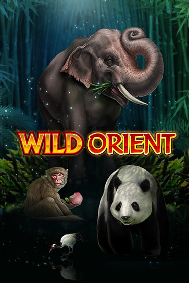 Wild Orient онлайн демо | Казино 888 играть без регистрации